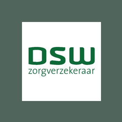 DSWH zilveren kruis